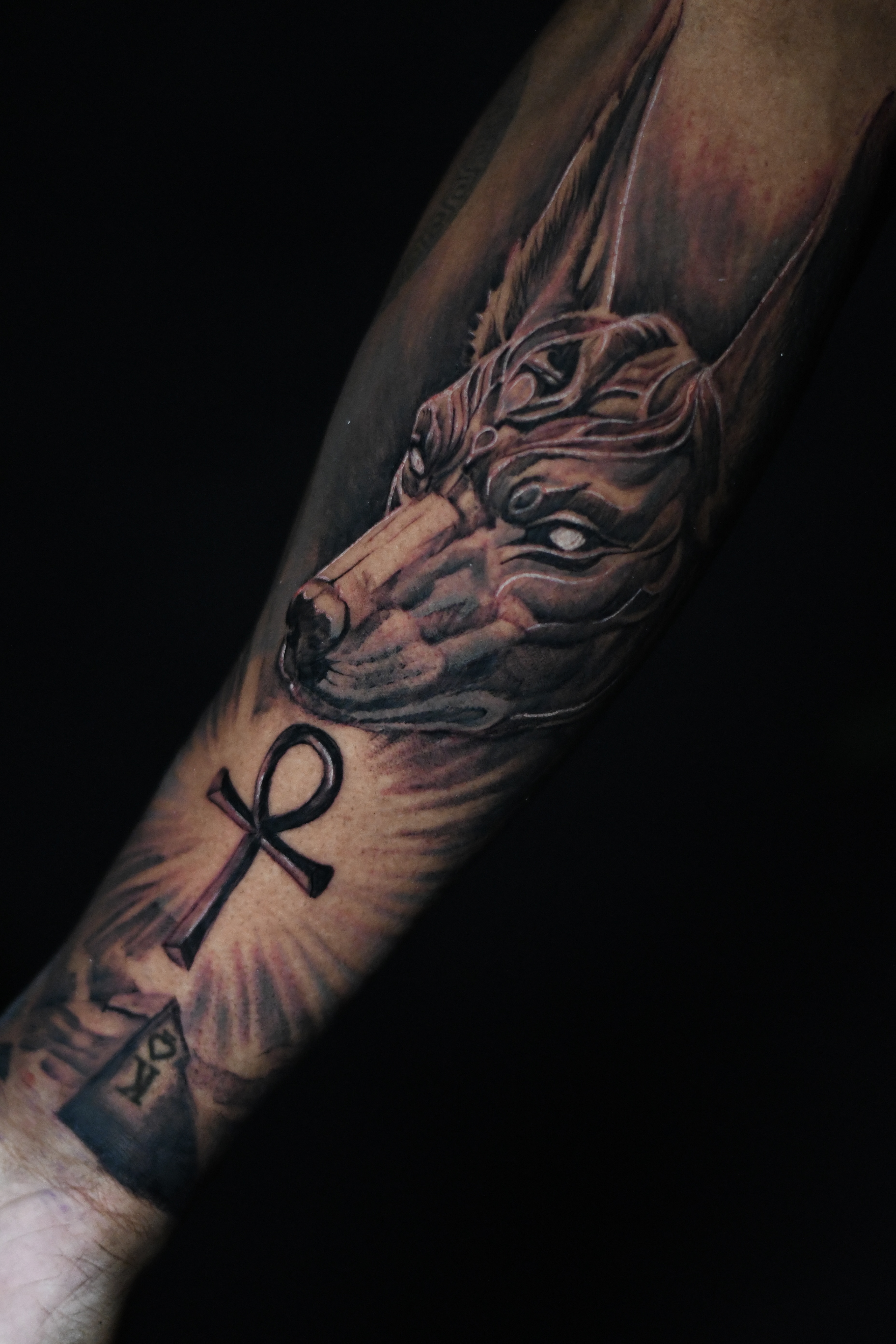 Tattoo Gallery Photo