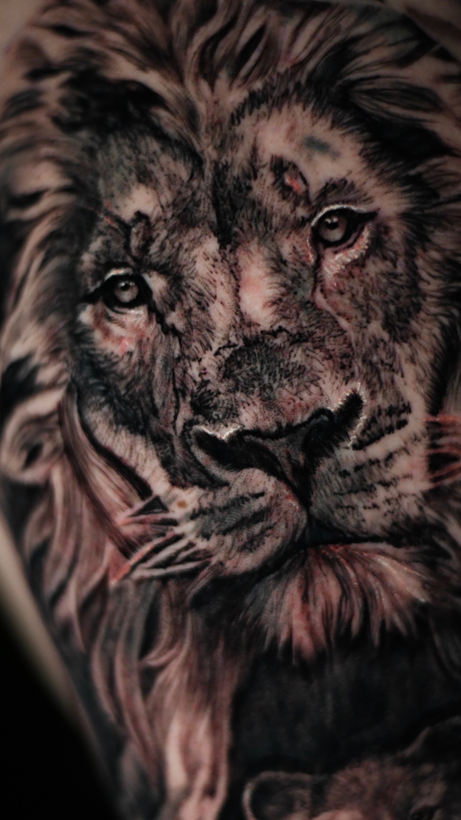 Tattoo Gallery Photo