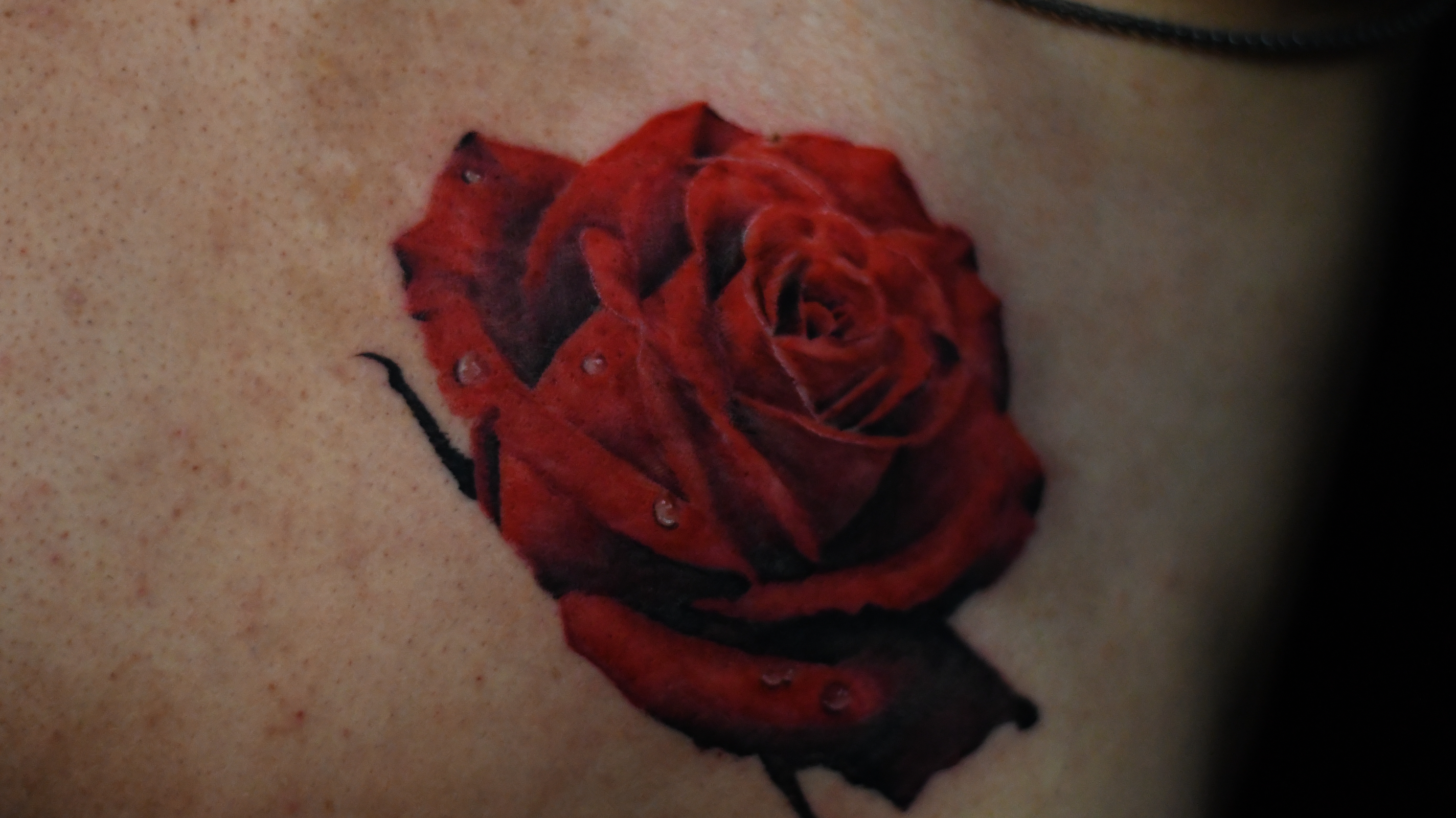 Tattoo Gallery Photo
