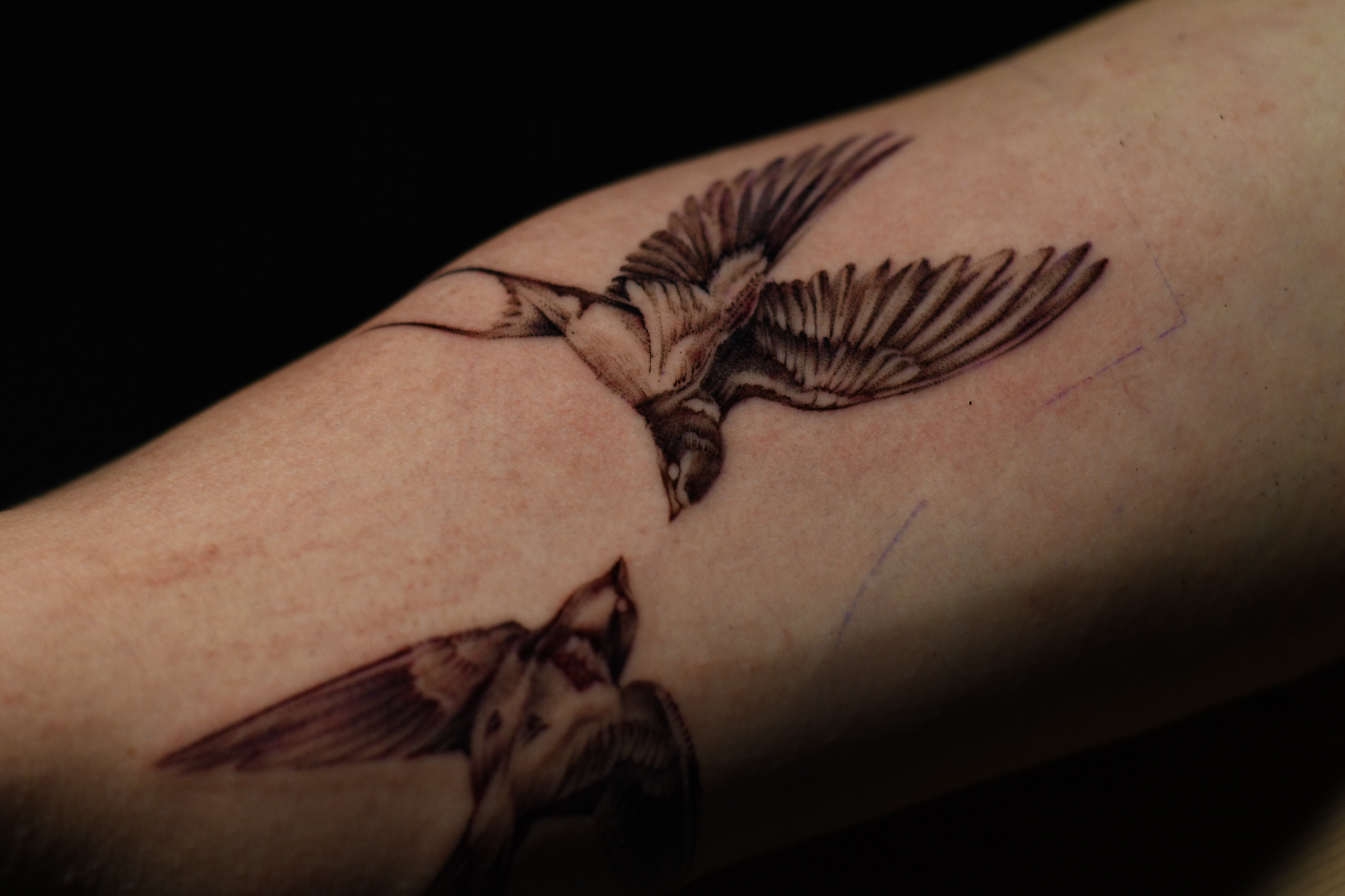 Tattoo Gallery Photo