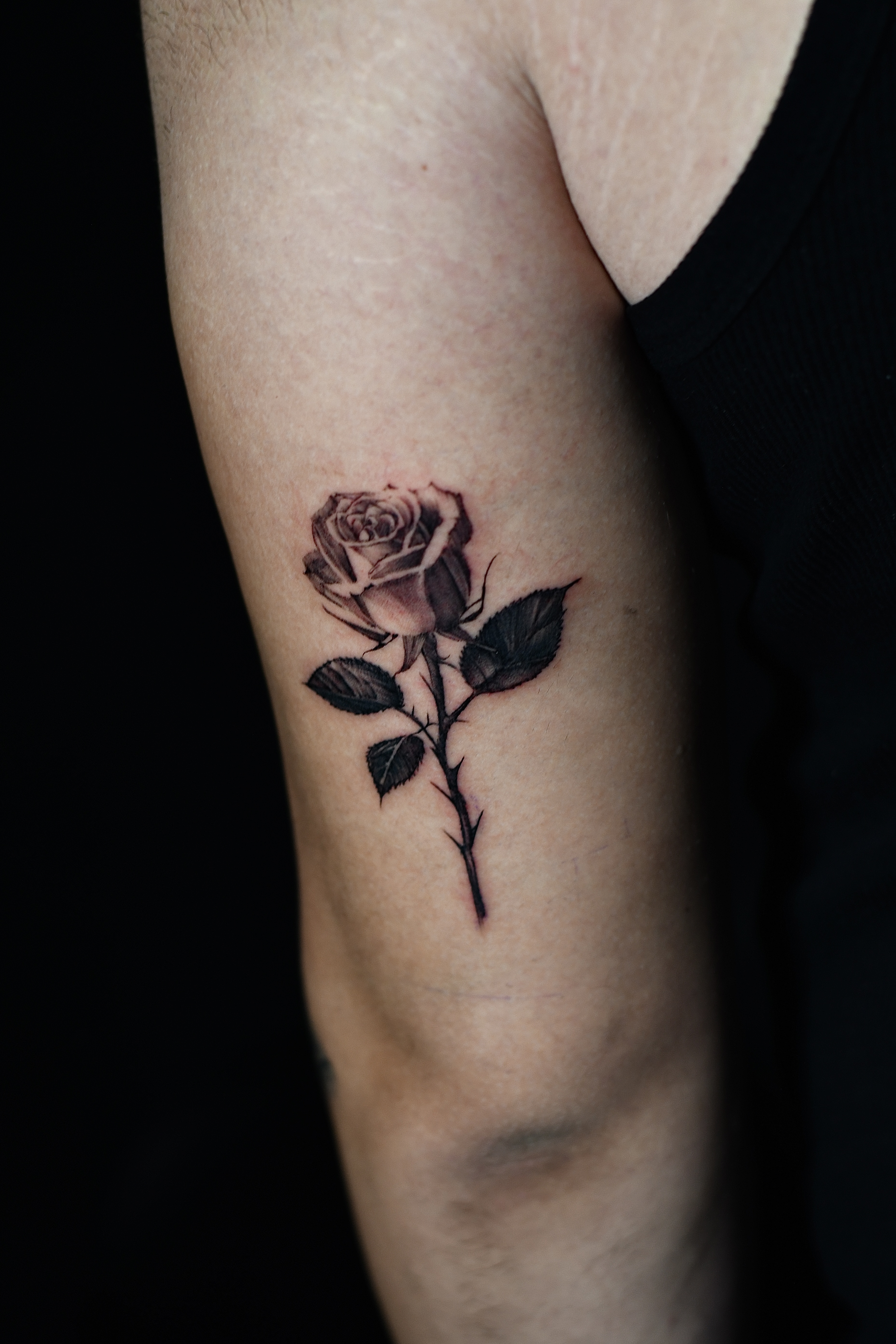 Tattoo Gallery Photo