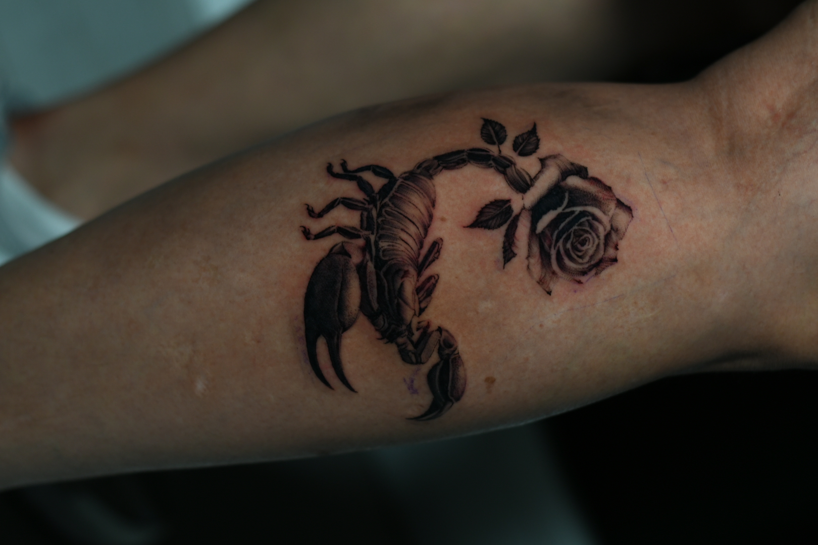 Tattoo Gallery Photo