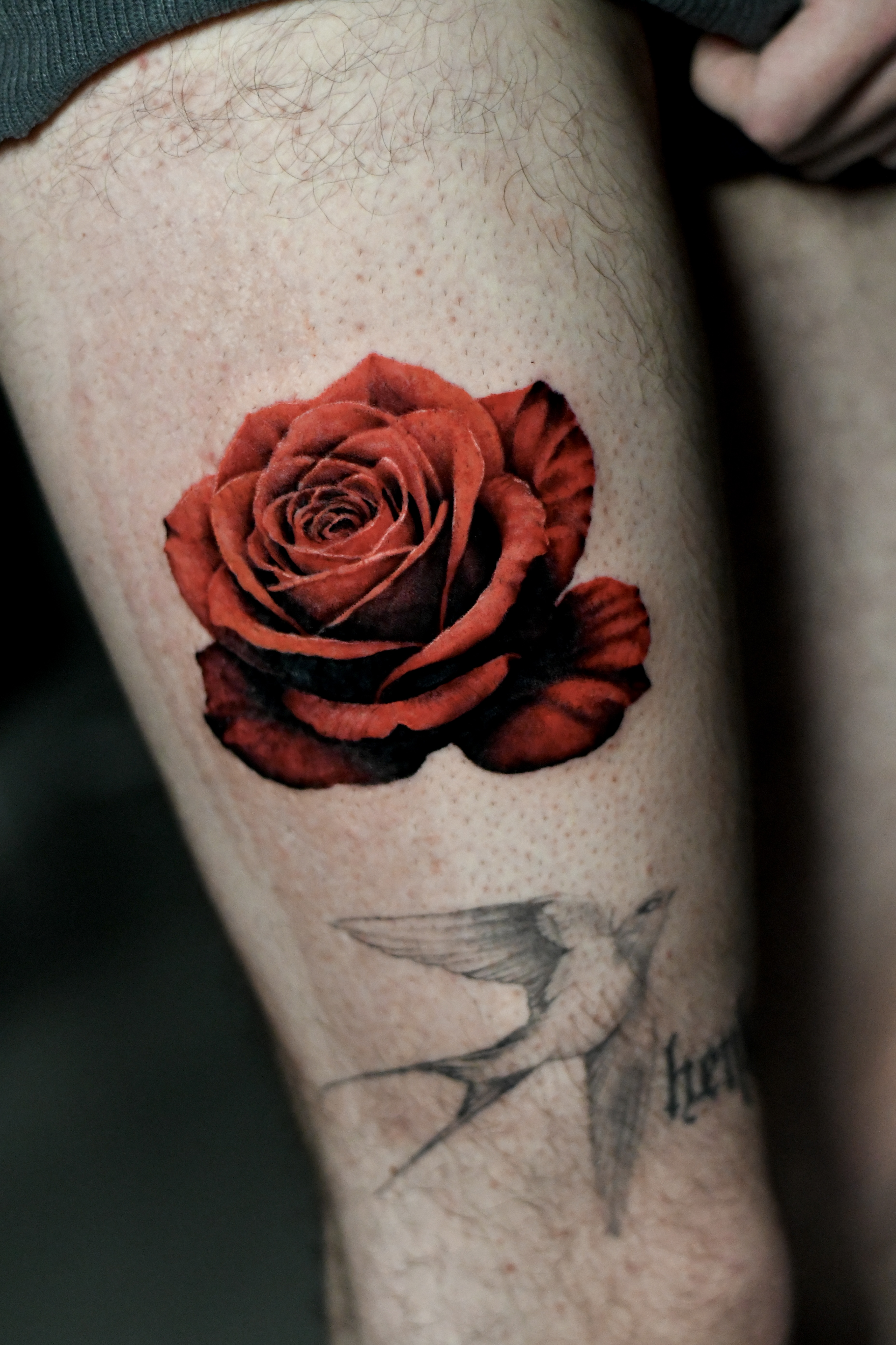 Tattoo Gallery Photo